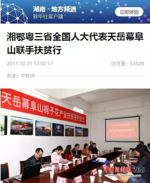 岳阳市最新爆料新闻报道,揭秘重大事件背后真相