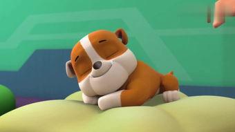 与鸭共舞在线高清观看,高清视觉盛宴,共赴自然和谐之旅 第2张 与鸭共舞在线高清观看,高清视觉盛宴,共赴自然和谐之旅 第2张